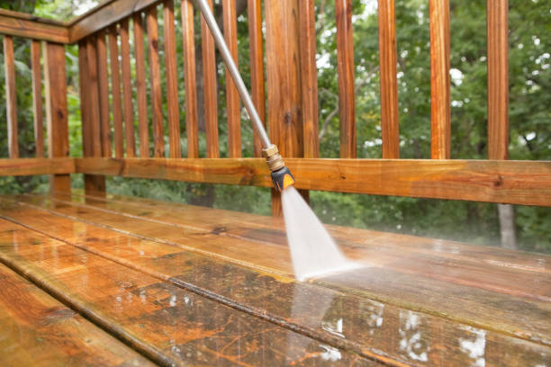 Best Fence Cleaning  in Creola, AL