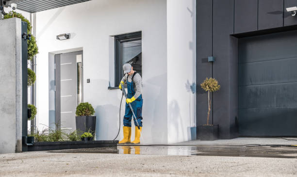Professional Pressure Washing in Creola, AL